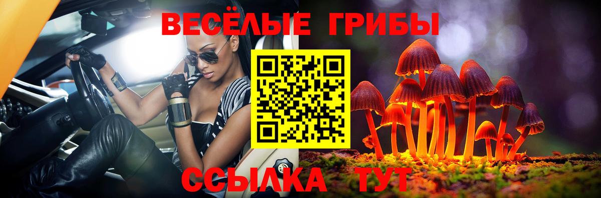 Галлюциногенные грибы GOLDEN TEACHER  где найти   Уварово  Вход с VPN 